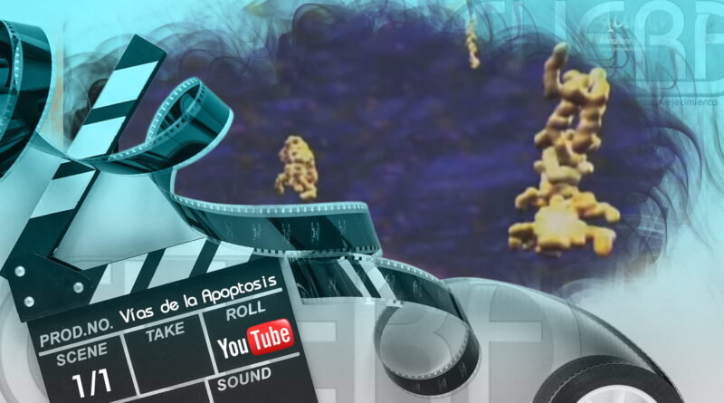 Vías de la Apoptosis